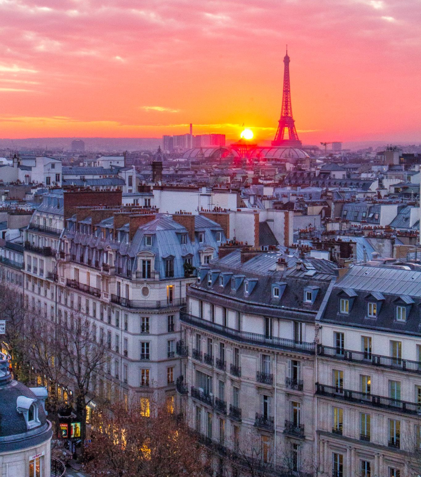 ROBERTA ZERBINATO IN PARIS FRANCE 2024